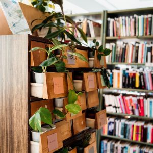 The Plant Exchange Cabinet is open at the Laagna library!