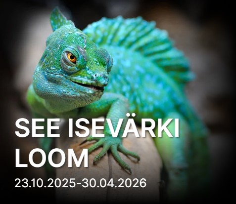 A chameleon on a branch with winged eyes